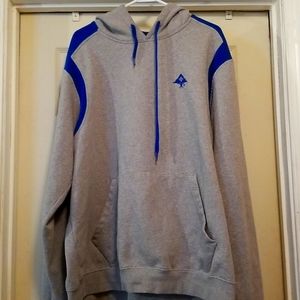 Lrg pullover hoodie